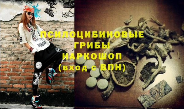 каннабис Беломорск