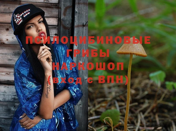 стафф Белокуриха