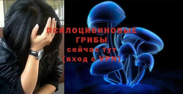 дурь Белоозёрский