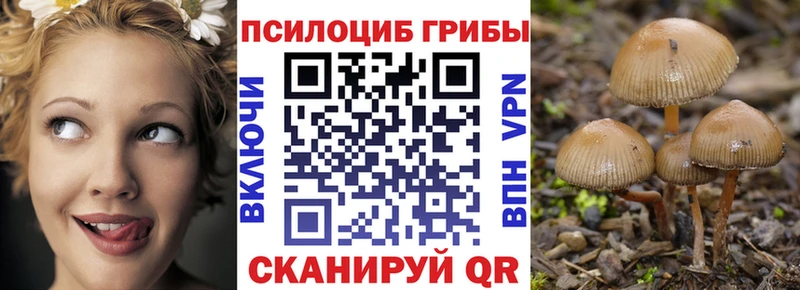 Псилоцибиновые грибы MAGIC MUSHROOMS  Купить  Амурск 